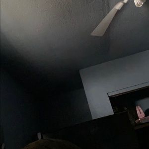 Meet your Posher, Carolina